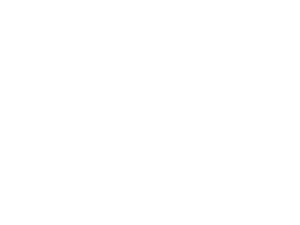 guideline-bianco